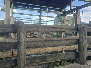 ¡Excelente Rancho con Cenote en venta! Tizimin, Yucatán.