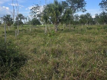 ¡Excelente Rancho con Cenote en venta! Tizimin, Yucatán.