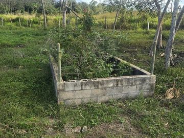 ¡Excelente Rancho con Cenote en venta! Tizimin, Yucatán.