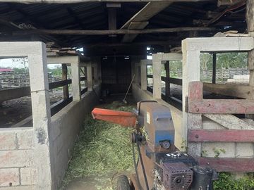 ¡Excelente Rancho con Cenote en venta! Tizimin, Yucatán.