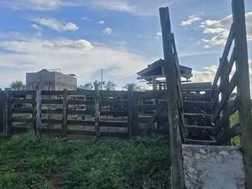 ¡Excelente Rancho con Cenote en venta! Tizimin, Yucatán.
