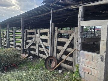 ¡Excelente Rancho con Cenote en venta! Tizimin, Yucatán.