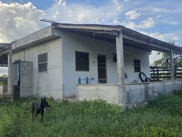 ¡Excelente Rancho con Cenote en venta! Tizimin, Yucatán.