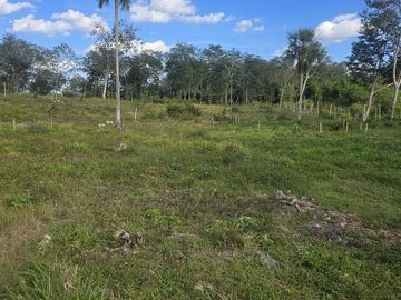 ¡Excelente Rancho con Cenote en venta! Tizimin, Yucatán.
