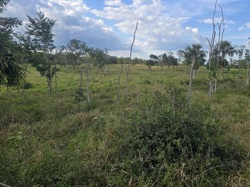 ¡Excelente Rancho con Cenote en venta! Tizimin, Yucatán.