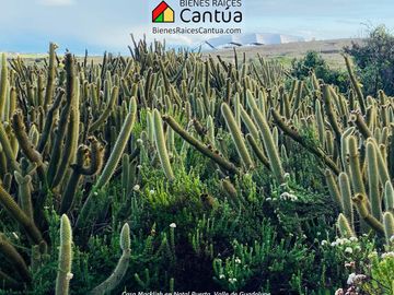 Casa Cactus en Venta – 3 Recámaras, Vista a Montañas en Valle de Guadalupe