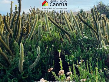 Casa Cactus en Venta – 3 Recámaras, Vista a Montañas en Valle de Guadalupe