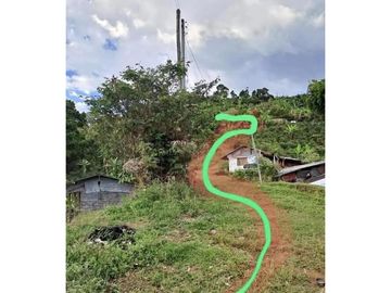 SE VENDE TERRENO DE 3 HECTAREAS A SOLO 25 MINUTOS DE PEREIRA