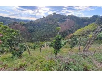 SE VENDE TERRENO DE 3 HECTAREAS A SOLO 25 MINUTOS DE PEREIRA