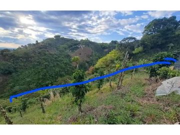 SE VENDE TERRENO DE 3 HECTAREAS A SOLO 25 MINUTOS DE PEREIRA