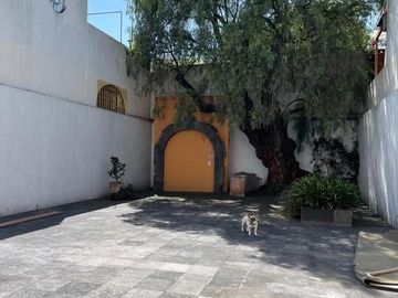 Renta Casa en San Angel 100 % remodelada
