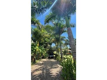 VENTA EXCELENTE CASA QUINTA CON LOTE EN EL CARMEN DE APICALA TOLIMA