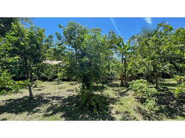 VENTA EXCELENTE CASA QUINTA CON LOTE EN EL CARMEN DE APICALA TOLIMA