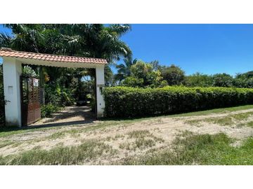 VENTA EXCELENTE CASA QUINTA CON LOTE EN EL CARMEN DE APICALA TOLIMA