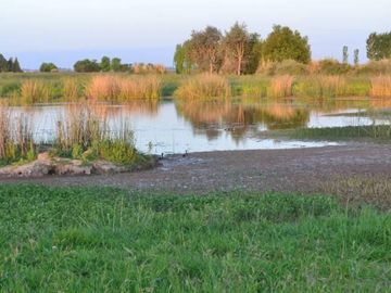 Venta chacra de 1,2has en Santa María Polo Club