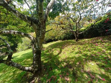Venta De Casa Campestre En El Retiro Sector La Fe