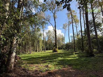 Parcela en Venta en Loteo Rucañacu, Sector Playa Linda, Orilla de Lago
