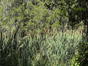 Parcela en Venta en Loteo Rucañacu, Sector Playa Linda, Orilla de Lago