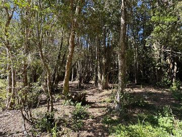 Parcela en Venta en Loteo Rucañacu, Sector Playa Linda, Orilla de Lago