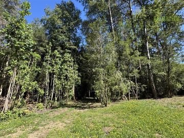 Parcela en Venta en Loteo Rucañacu, Sector Playa Linda, Orilla de Lago