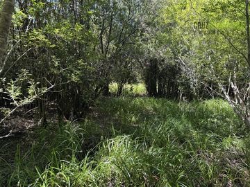 Parcela en Venta en Loteo Rucañacu, Sector Playa Linda, Orilla de Lago