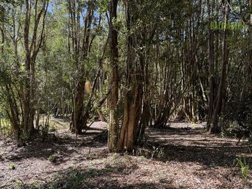 Parcela en Venta en Loteo Rucañacu, Sector Playa Linda, Orilla de Lago