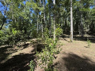 Parcela en Venta en Loteo Rucañacu, Sector Playa Linda, Orilla de Lago