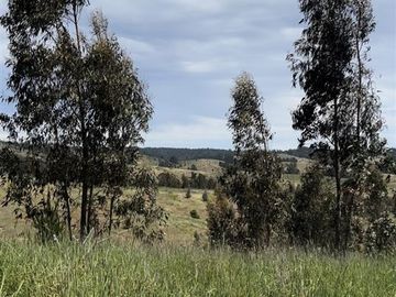 Parcela en Venta en Paredones, Bucalemu, Provincia de Bernardo O´Higgins