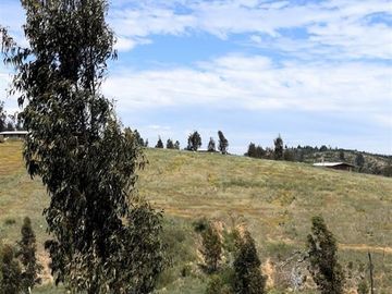 Parcela en Venta en Paredones, Bucalemu, Provincia de Bernardo O´Higgins