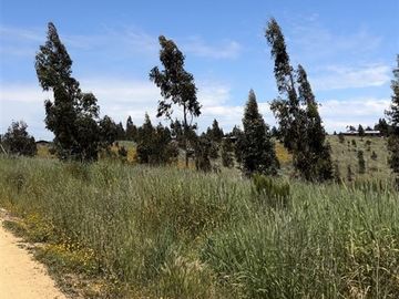 Parcela en Venta en Paredones, Bucalemu, Provincia de Bernardo O´Higgins