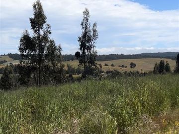 Parcela en Venta en Paredones, Bucalemu, Provincia de Bernardo O´Higgins