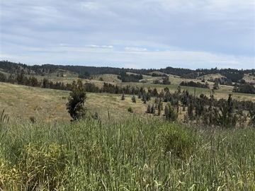 Parcela en Venta en Paredones, Bucalemu, Provincia de Bernardo O´Higgins