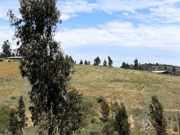 Parcela en Venta en Paredones, Bucalemu, Provincia de Bernardo O´Higgins
