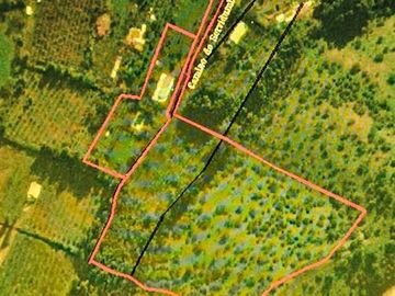 Parcela en Venta en EL RINCON, LA PUNTA, SAN FRANCISCO DE MOSTAZAL, REGION BERNARDO O´HIGGINS