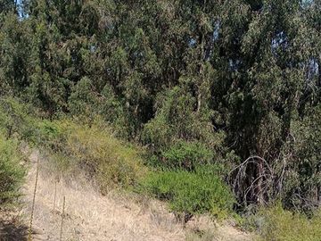 Parcela en Venta en EL RINCON, LA PUNTA, SAN FRANCISCO DE MOSTAZAL, REGION BERNARDO O´HIGGINS