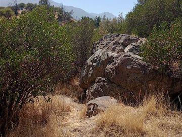 Parcela en Venta en EL RINCON, LA PUNTA, SAN FRANCISCO DE MOSTAZAL, REGION BERNARDO O´HIGGINS