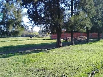 Venta - LOTES 300/400/500 m2 - Trujui, Moreno