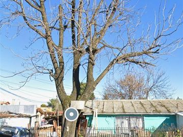 Sitio en Venta en a 5 cuadras de Plaza de Armas de Linares