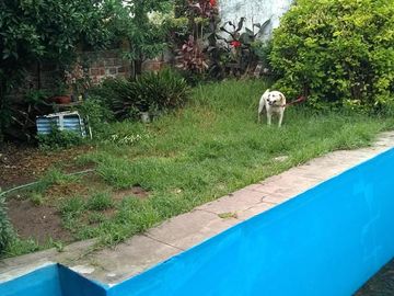 Departamento Duplex en venta - 4 Dormitorio 3 Baños - 252mts2 - Vicente Lopez