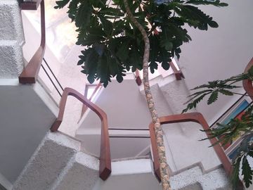 Casa en Venta en Jardines del Sol