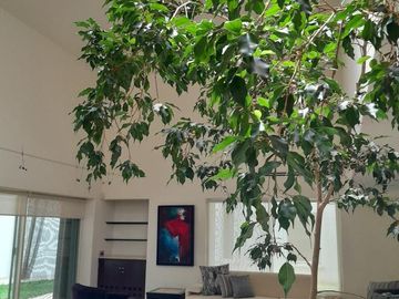 Casa en  Venta