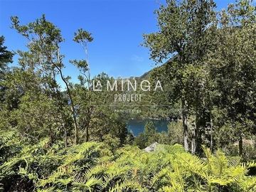 Sitio en Venta en Ensenada Panguipulli