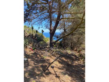 Parcela de 1 hectárea en Curaimilla, Laguna Verde