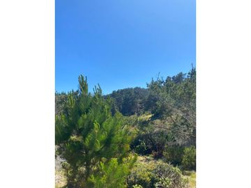 Parcela de 1 hectárea en Curaimilla, Laguna Verde