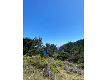 Parcela de 1 hectárea en Curaimilla, Laguna Verde