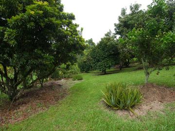 VENTA de CASA CAMPESTRE en PEREIRA