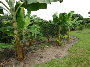 VENTA de CASA CAMPESTRE en PEREIRA