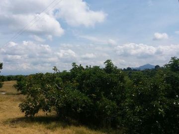 VENTA de FINCAS en PEREIRA