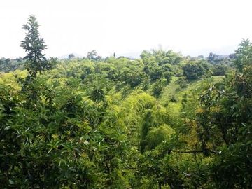 VENTA de FINCAS en PEREIRA