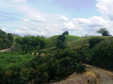 VENTA de FINCAS en PEREIRA
